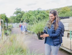 Don’t Replace Dead Plants Right Away: The Mistake You’re Making