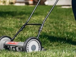 11 Hidden Gardening Tools at Home Depot You Need to Know