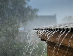 Science uncovers rainy day secrets