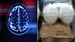 Eggs a week cut Alzheimer’s risk by 20% says research