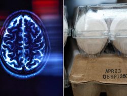 Eggs a week cut Alzheimer’s risk by 20% says research