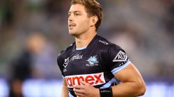 Star prostitute set for Blue debut after Ashes experience