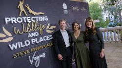 Robert Irwin Urges Support for Steve Irwin Gala