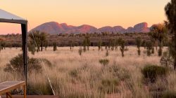The world’s oldest walk now in Australia
