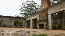 Port Arthur 30 Years On: Music Was My Healing