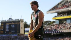 “Love It Here”: Star Forward Content at Port