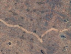 Man discovers 11-km scar on Google Earth in Australia, baffling scientists for months