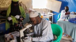 UK Leads Malaria Science – The World Needs Its Expertise