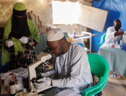 UK Leads Malaria Science – The World Needs Its Expertise