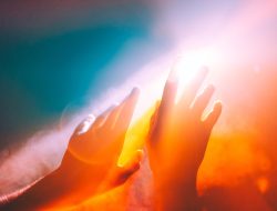 The final dream before death, as revealed by scientists