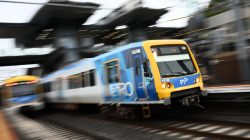 Train lines busier, no new free transport announced