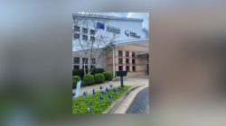 Rising Child Psychological Abuse Reports Spark Concern in Kentucky