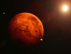 Can Fungi Thrive on Mars? New NASA Findings Revealed