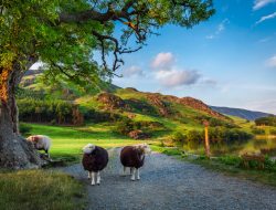 ‘Hidden Gem’ Grasmere Crowned Brits’ Top UK Summer Getaway for 2026