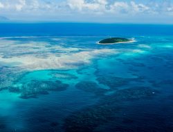 The birthplace of Earth’s ocean life was a giant coral reef 20 million years ago