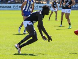 Carlton recruit, Essendon star faces VFL penalties