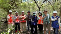 TPS Perkuat Ekosistem Mangrove, Dukung Pelabuhan Ramah Lingkungan