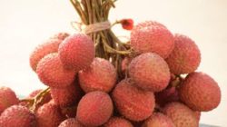 Langka dan Unik! Mengenal Beras Phonics, Kuliner Eksotis dari Biji Bambu yang Muncul Setiap Puluhan Tahun