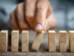 Economic Triumphs and Governance Failures