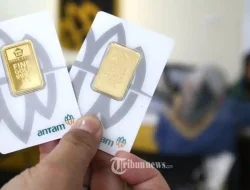 Harga Emas Hari Ini, Senin 13 April 2026: Antam, UBS, dan Galeri 24