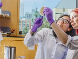 New study reveals men dominate science expert roles in media