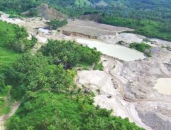 PLN UIP Sulawesi Jamin Kelestarian Cagar Alam Panua di Tengah Proyek SUTT 150 kV Marisa-Moutong