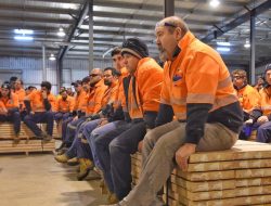 Kaitāia timber mills face closure, threatening hundreds of jobs