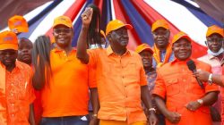 Linda Mwananchi Confronts Nakuru, Vows to Protect ODM from ‘Takeover’