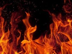 Tragedi Maut di Pinang Merah Jambi: Ayah Tewas Dibunuh Tetangga