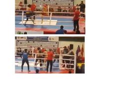 Mass brawl breaks out as title fight spirals into chaos