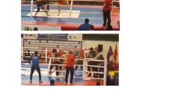 Mass brawl breaks out as title fight spirals into chaos