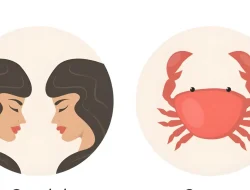 Ramalan Zodiak Gemini dan Cancer 7 Mei 2026: Cinta, Karir, Kesehatan, dan Keuangan
