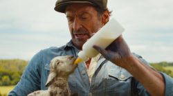 The talking sheep solve Hugh Jackman’s murder – oddly charming