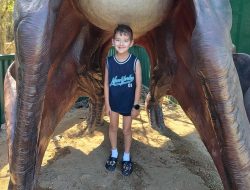 Autism Families Warn NDIS Cuts Leave No Alternatives