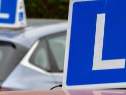 Why Teens Should Learn to Drive Early