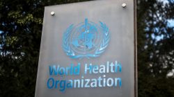 Hantavirus Not Like COVID, Says WHO Expert