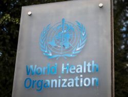 Hantavirus Not Like COVID, Says WHO Expert