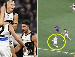 AFL splits after Hawthorn’s controversial goal against Freo