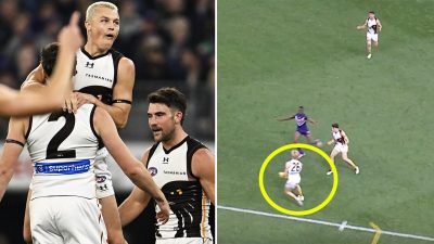 AFL splits after Hawthorn’s controversial goal against Freo
