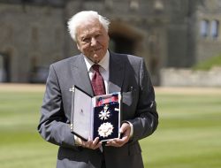 David Attenborough’s 100th Birthday: 5 Must-Watch Documentaries