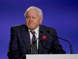 David Attenborough’s Key Tip to Bond Kids with Nature