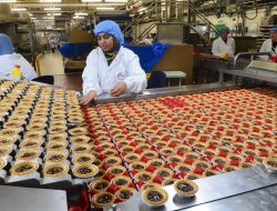 Food Firms Urgent Call for Sugar Rule Overhaul to Curb Price Jumps