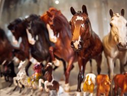 The World of Australian Model Horse Collectors
