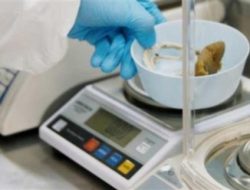 Bioxyne boosts Latin America cannabis reach with Costa Rica deal