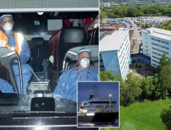 How UK Health Leaders Are Combating Hantavirus and Who’s Vulnerable