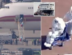 Terrifying incident: Infected rat virus passenger removed from plane at US’ busiest airport