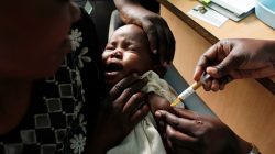 How the UK Rose to Malaria Research Supremacy
