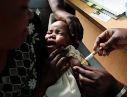 How the UK Rose to Malaria Research Supremacy