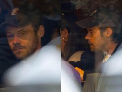 Harry Styles Dines Solo After Engagement to Zoe Kravitz