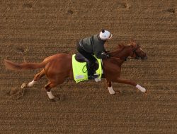 Kentucky Derby’s Open Field Stumps Experts